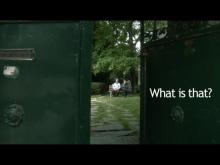 Embedded thumbnail for What is that?